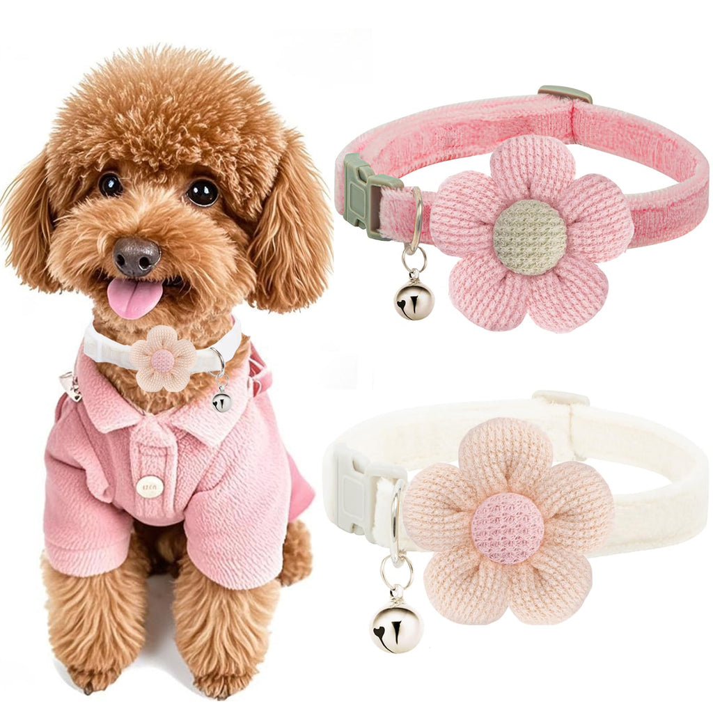 Dog wearing a pink outfit with two flower-shaped dog collars on a white background