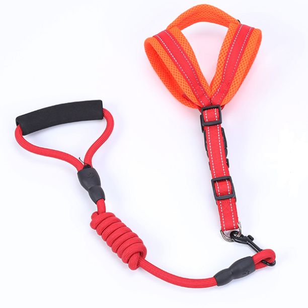 Red and orange dog leash with a coiled handle on a white background