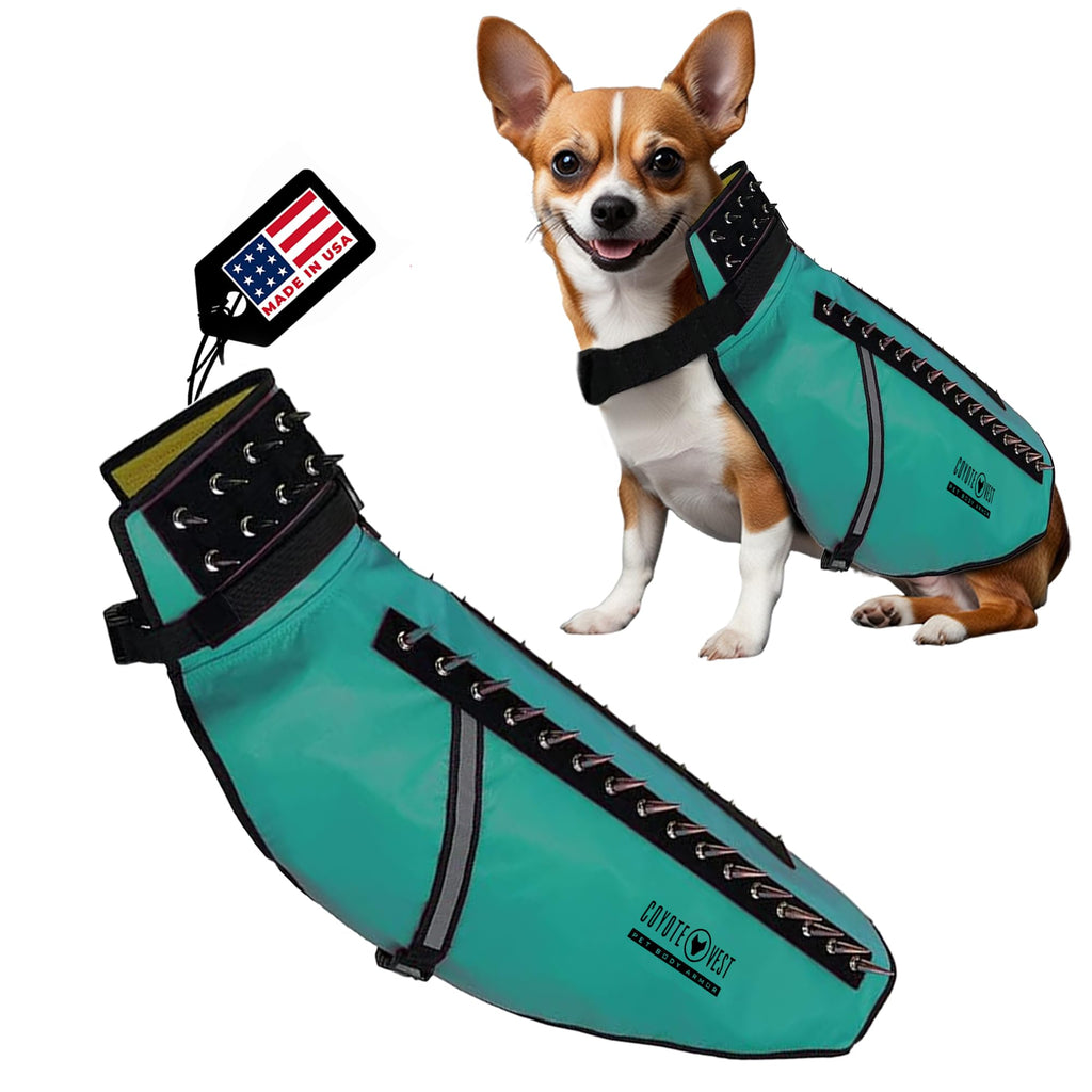 Teal dog vest with black straps on a white background