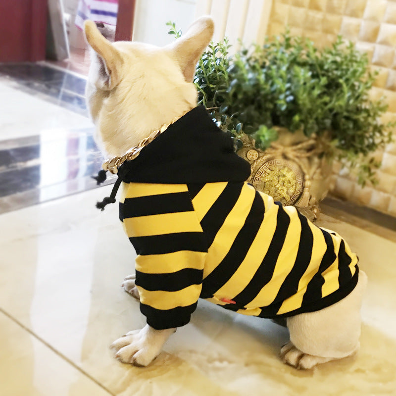Dog wearing a black and yellow striped hoodie indoors with plants in the background