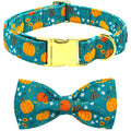 Dog collar and bow tie set with pumpkin pattern on a blue background