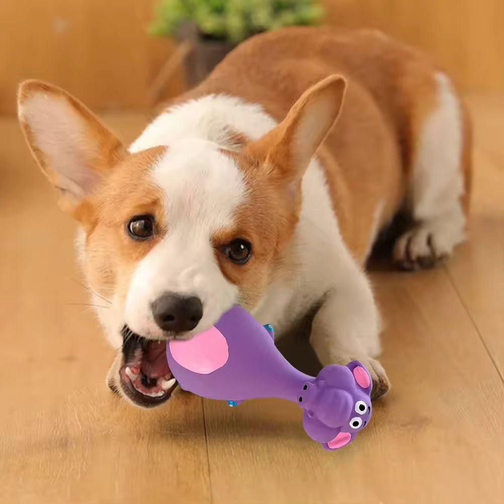 Dog playing with a purple toy on a wooden floor