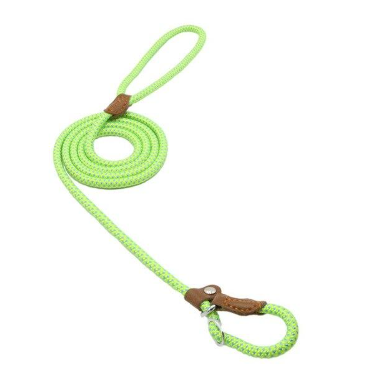 Nylon & PU Leather Dog Collar & Leash Set