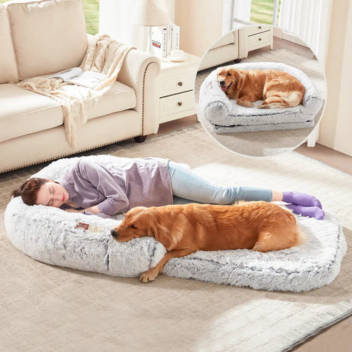Person lying on a fluffy pet bed with a dog, in a living room setting.