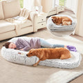 Person lying on a fluffy pet bed with a dog, in a living room setting.