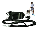 Black dog leash with attached pouch on a white background