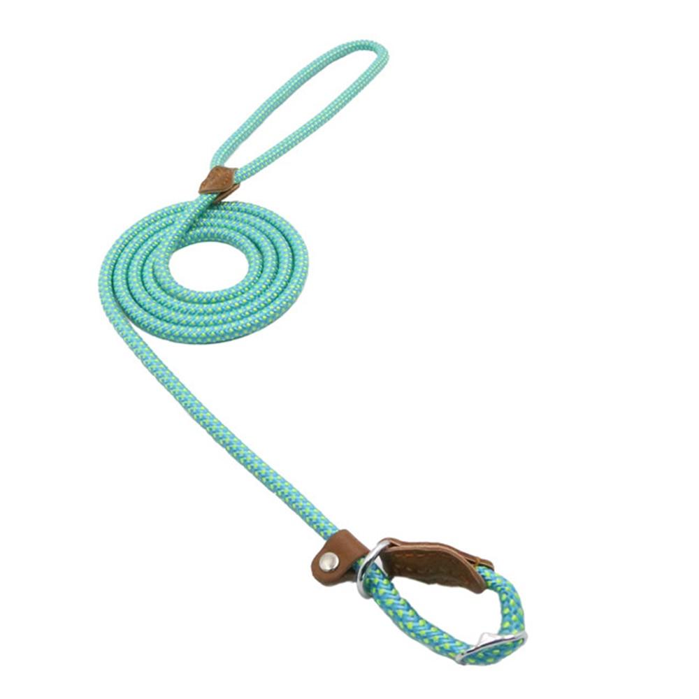 Nylon & PU Leather Dog Collar & Leash Set
