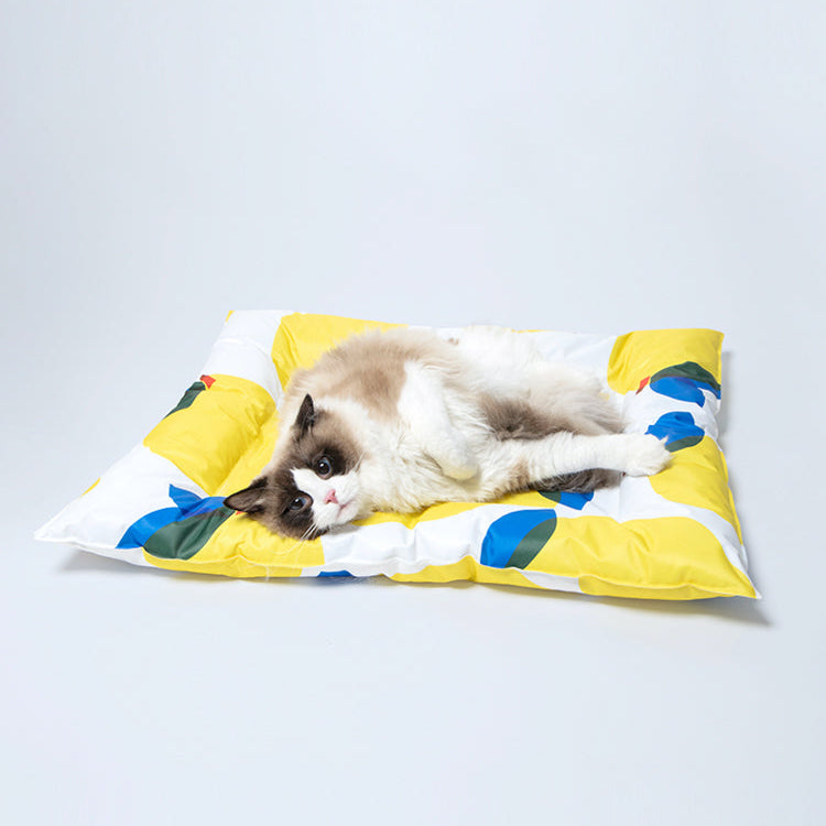 Cat lying on a colorful pet bed with a white background