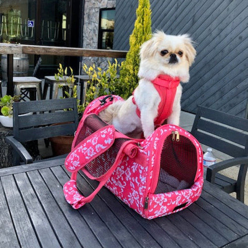 Hideaway Duffel Pet Carrier