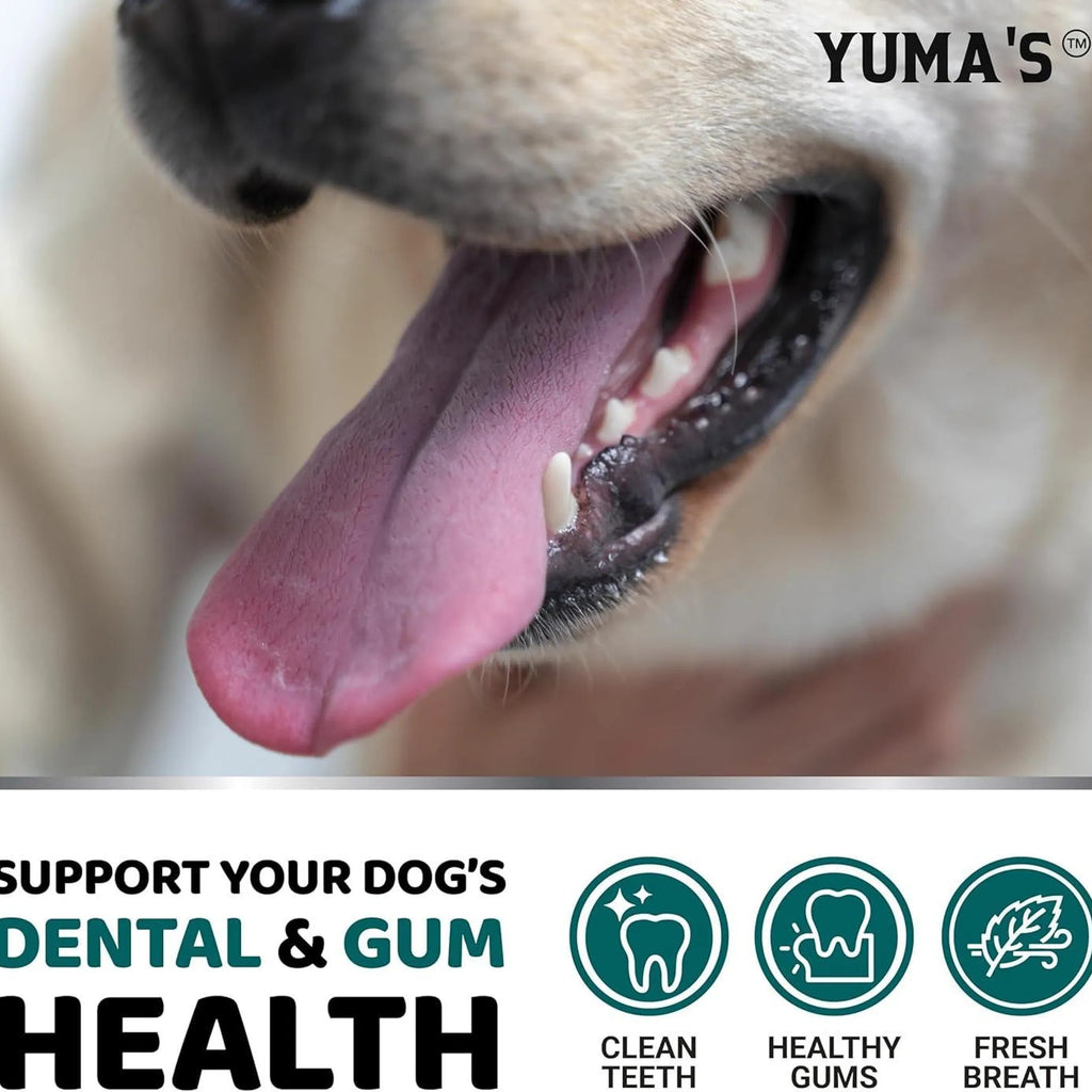 Dog with a close-up of its mouth, promoting Yuma's dental and gum health products.