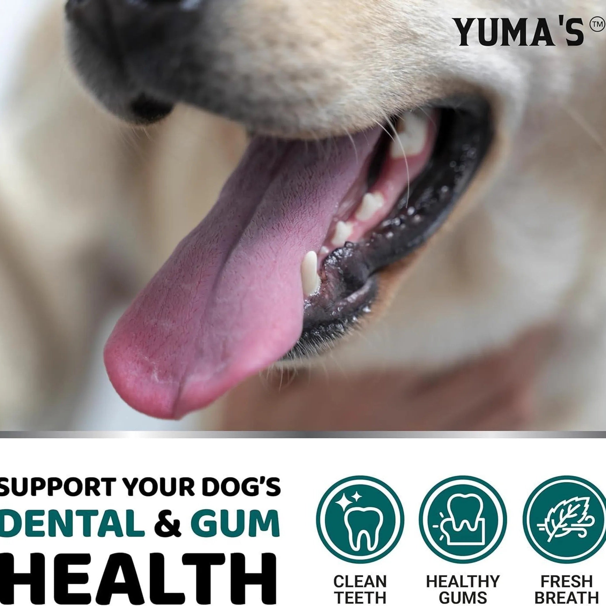 Dog with a close-up of its mouth, promoting Yuma's dental and gum health products.