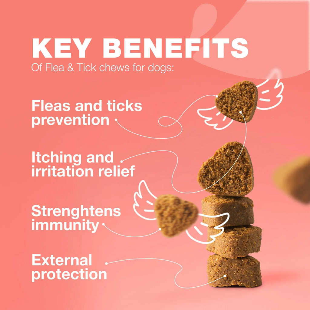 Heart-shaped dog treats with key benefits listed on a pink background