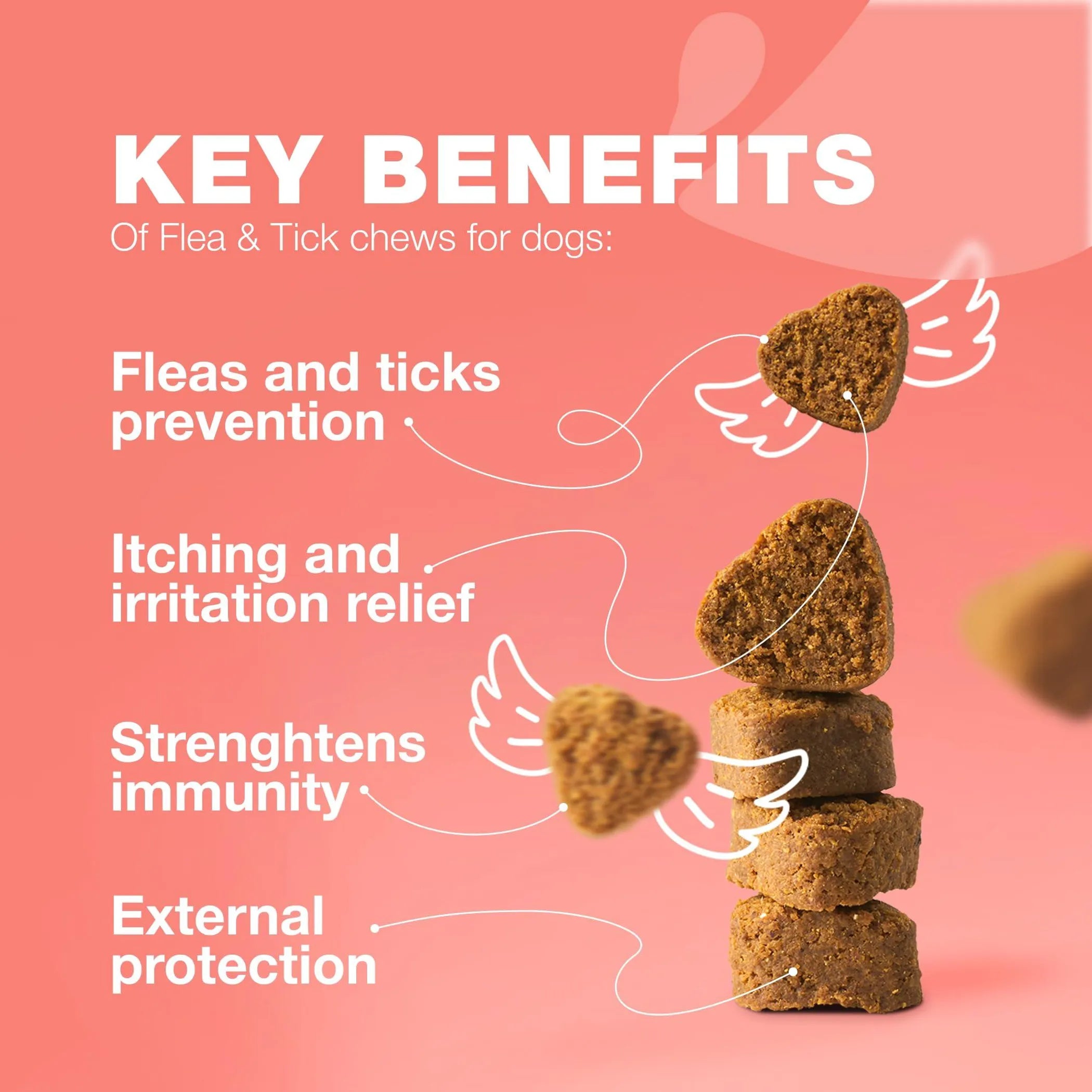Heart-shaped dog treats with key benefits listed on a pink background