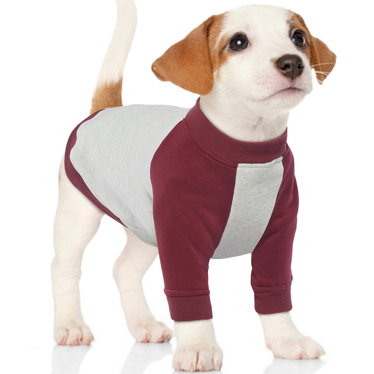 Fleece-Lined Turtleneck Dog Sweatshirt — Soft Pullover, Machine Washable (Small to 2XL)