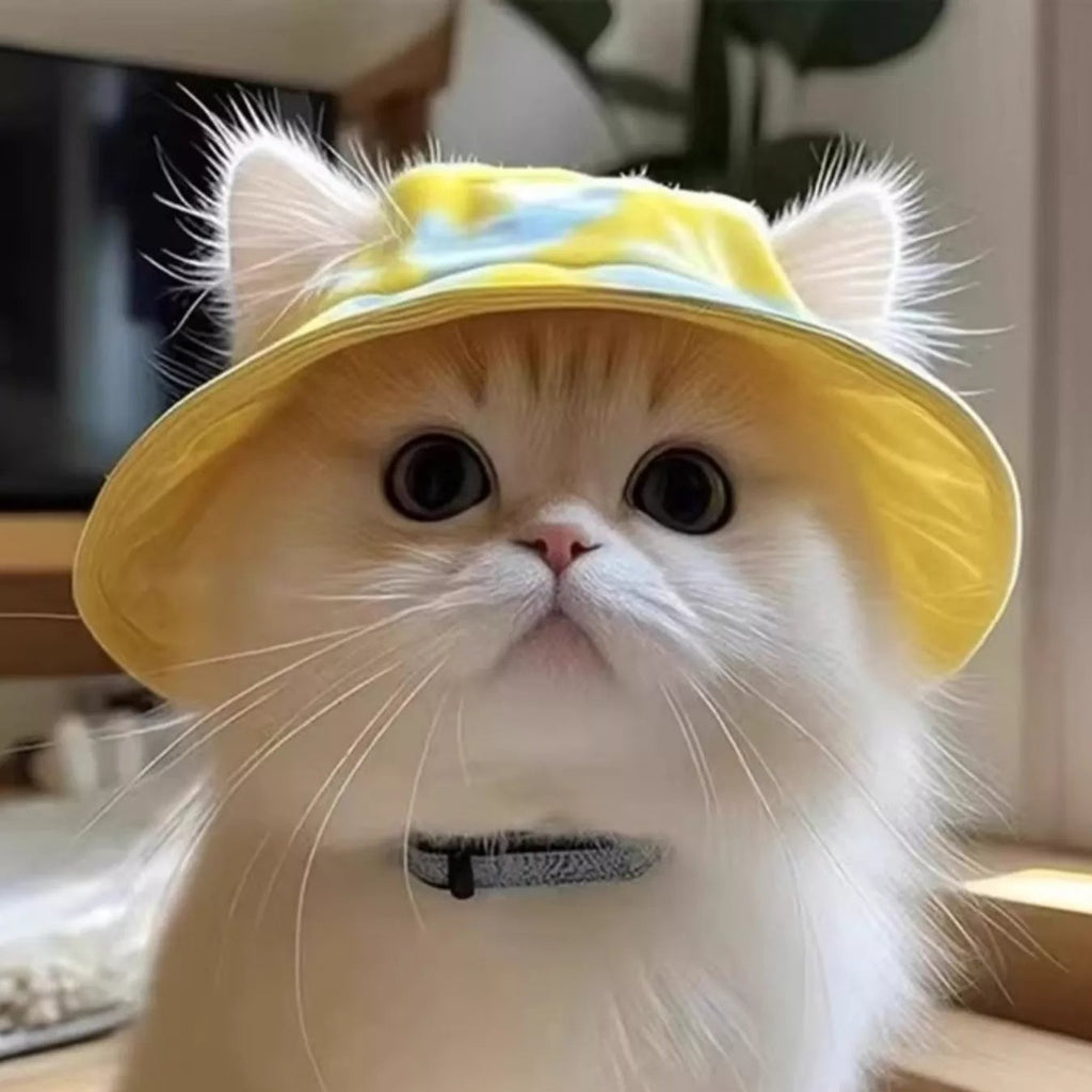 Cat wearing a yellow hat with cat ears indoors