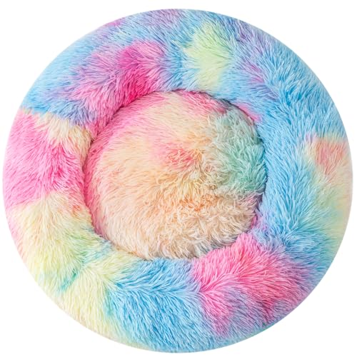 Multicolored fluffy pet bed on a white background