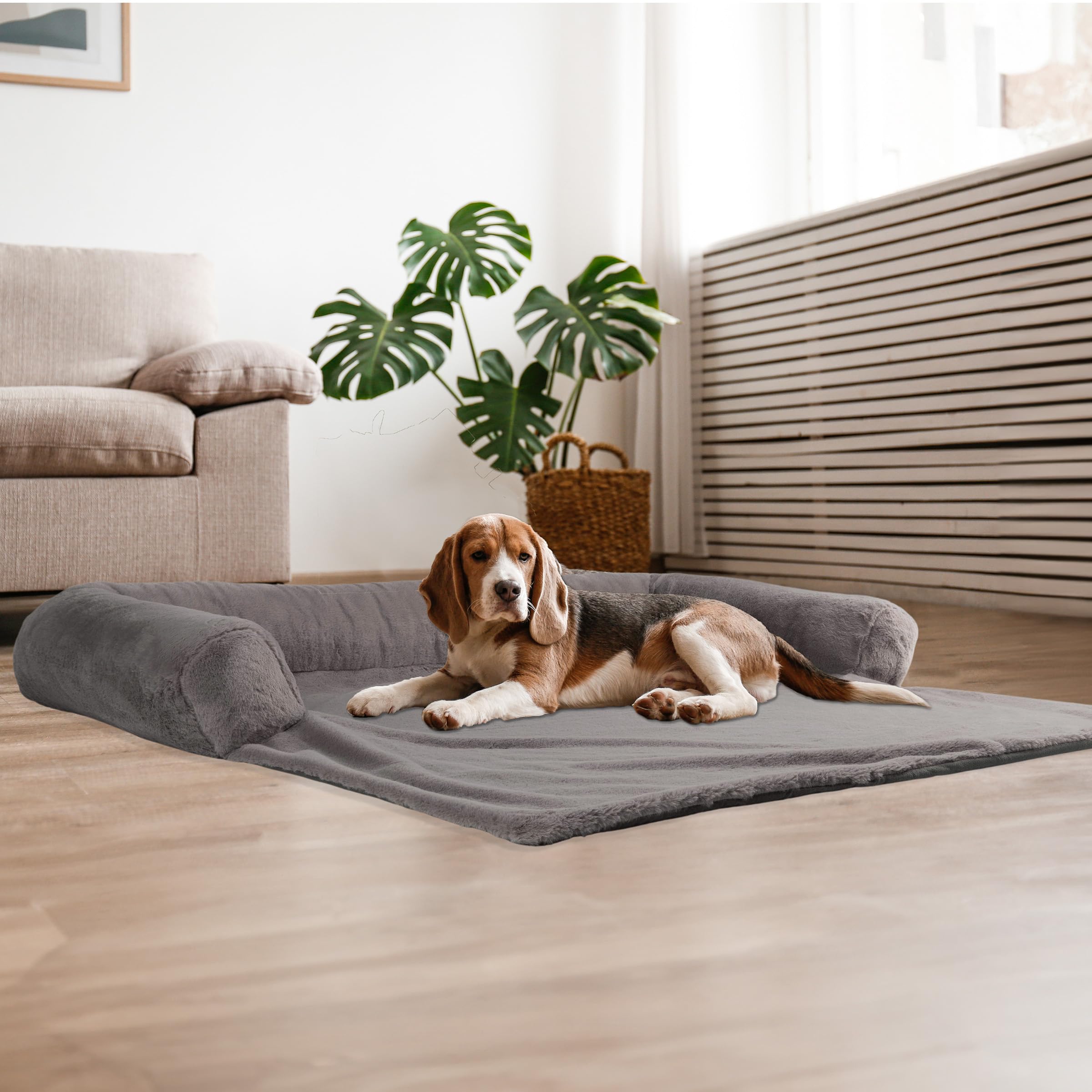 Dog lying on a gray pet bed in a modern living room.