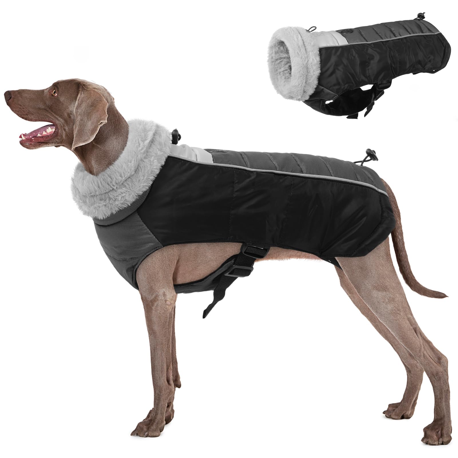 Dog wearing a black and gray winter coat with a detachable gray fur-lined hood.