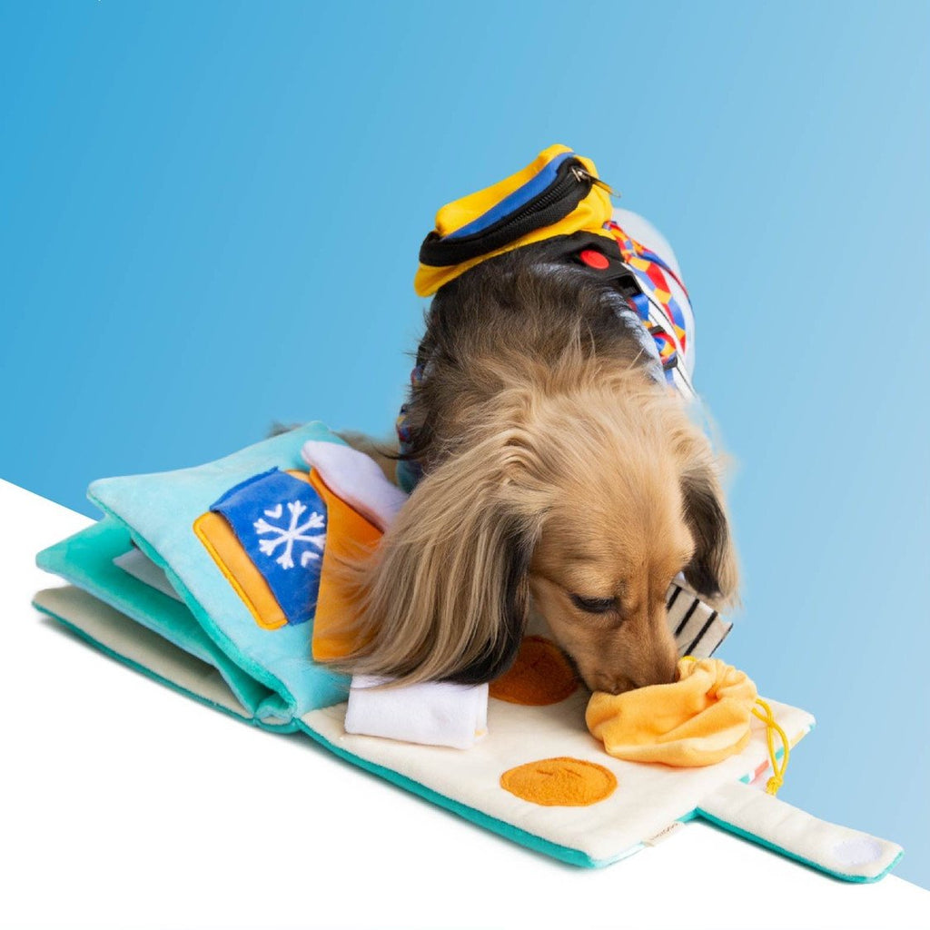 Dog Puzzle Sniffing Toy – Slow Feed Book for Mental Stimulation