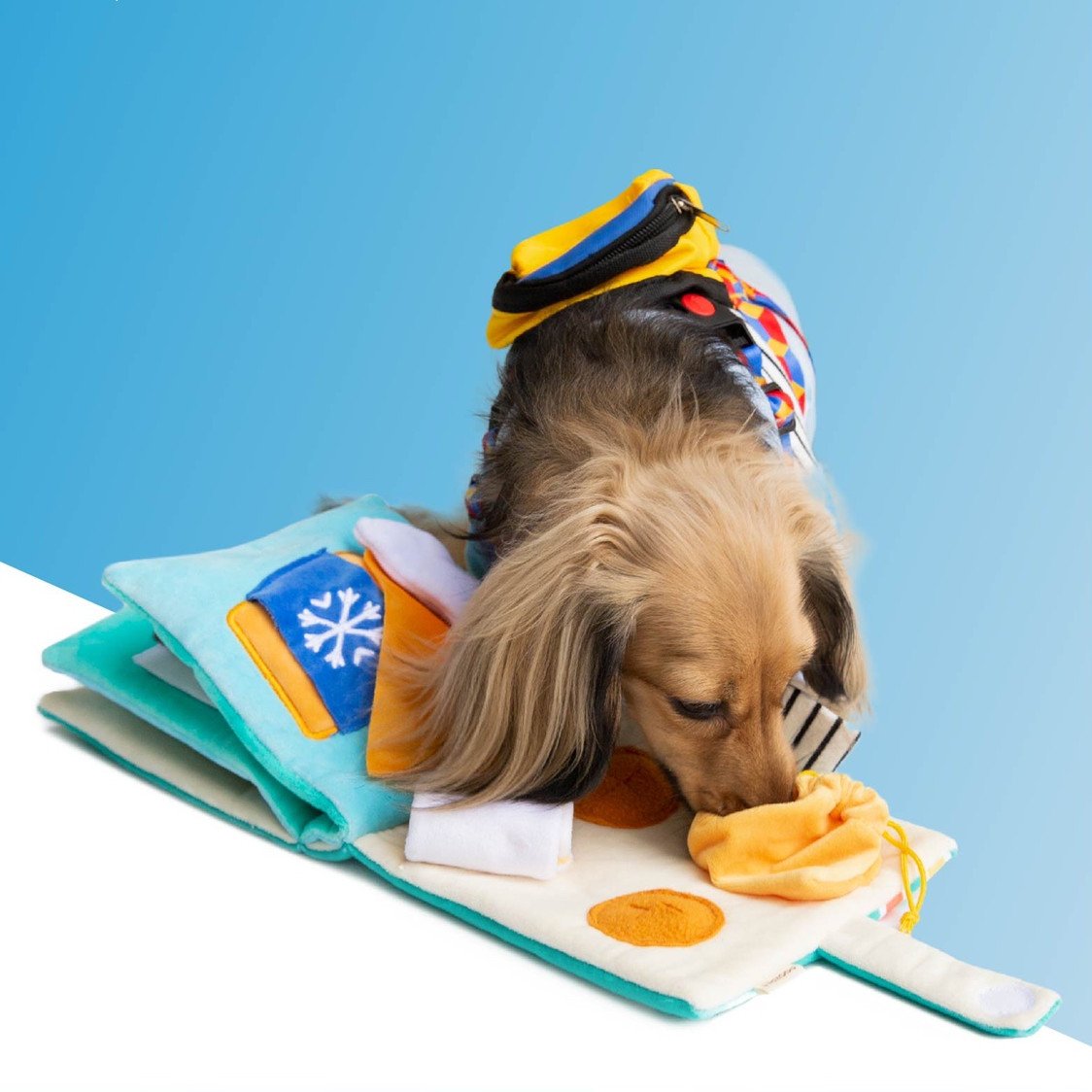 Dog Puzzle Sniffing Toy – Slow Feed Book for Mental Stimulation