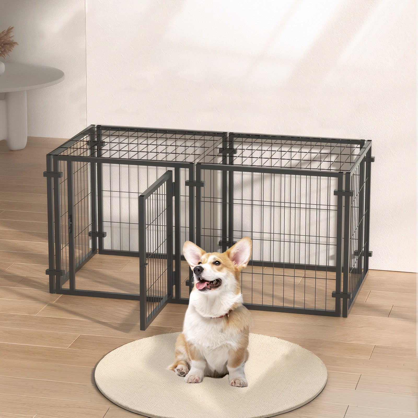 Dog standing inside a large black metal pet playpen on a wooden floor.