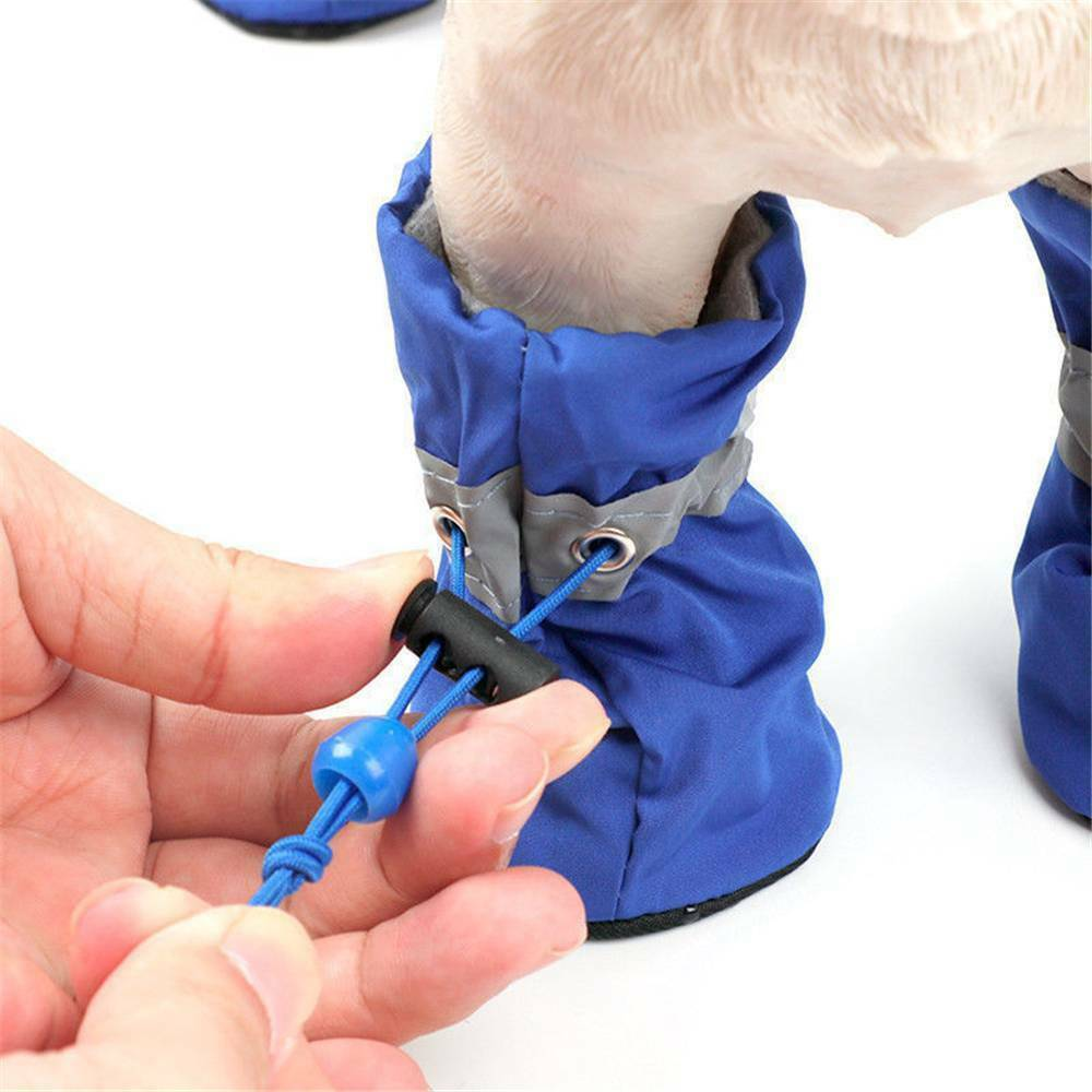 breathable dog shoes