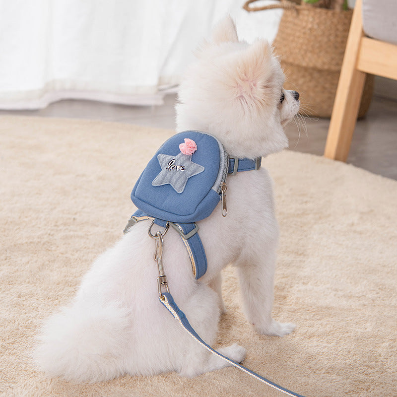 Small white dog wearing a blue harness with a star design on a beige carpet.
