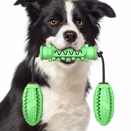 Dog Toothbrush Chew Toy – Rubber Bone for Teeth Cleaning & Molar Care