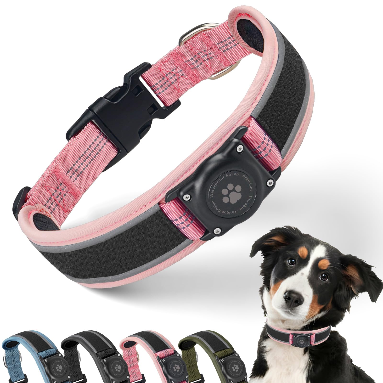 Pink and black dog collar with a dog wearing it on a white background