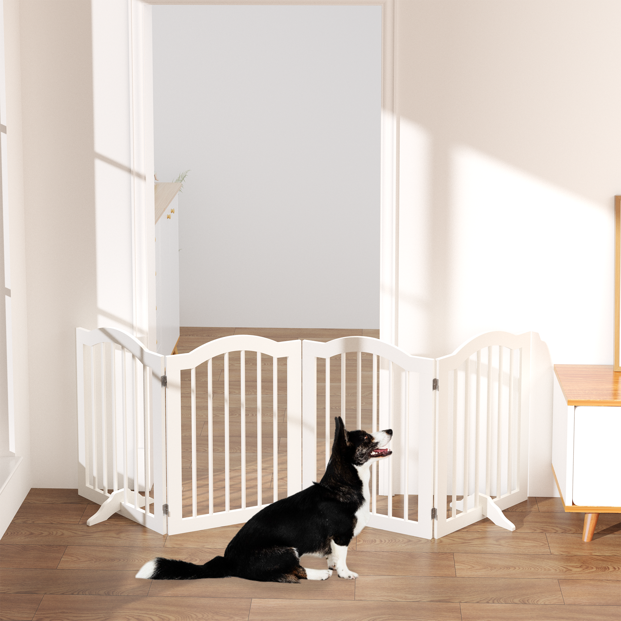 Dog standing inside a white pet gate in a room with wooden flooring and a table.