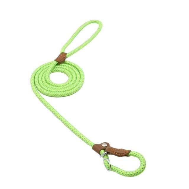 Nylon & PU Leather Dog Collar & Leash Set