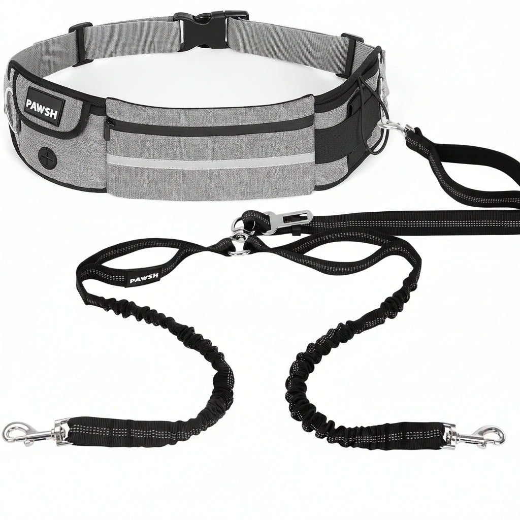 Dog walking belt with bungee leash on a white background