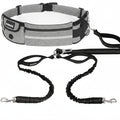 Dog walking belt with bungee leash on a white background