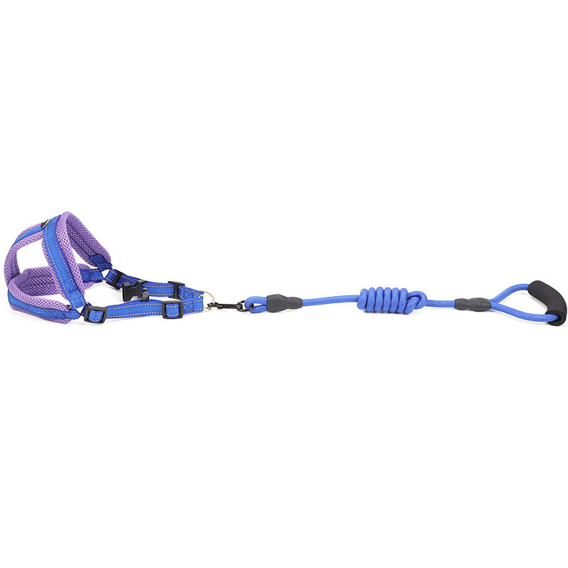 Dog harness and leash set with purple and blue design on a white background