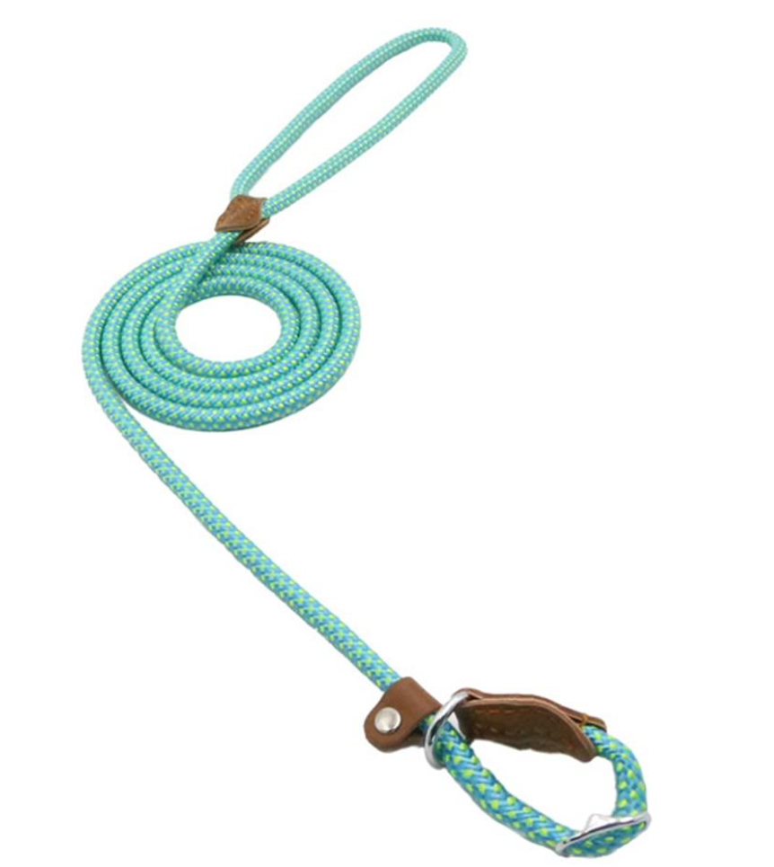 Nylon & PU Leather Dog Collar & Leash Set