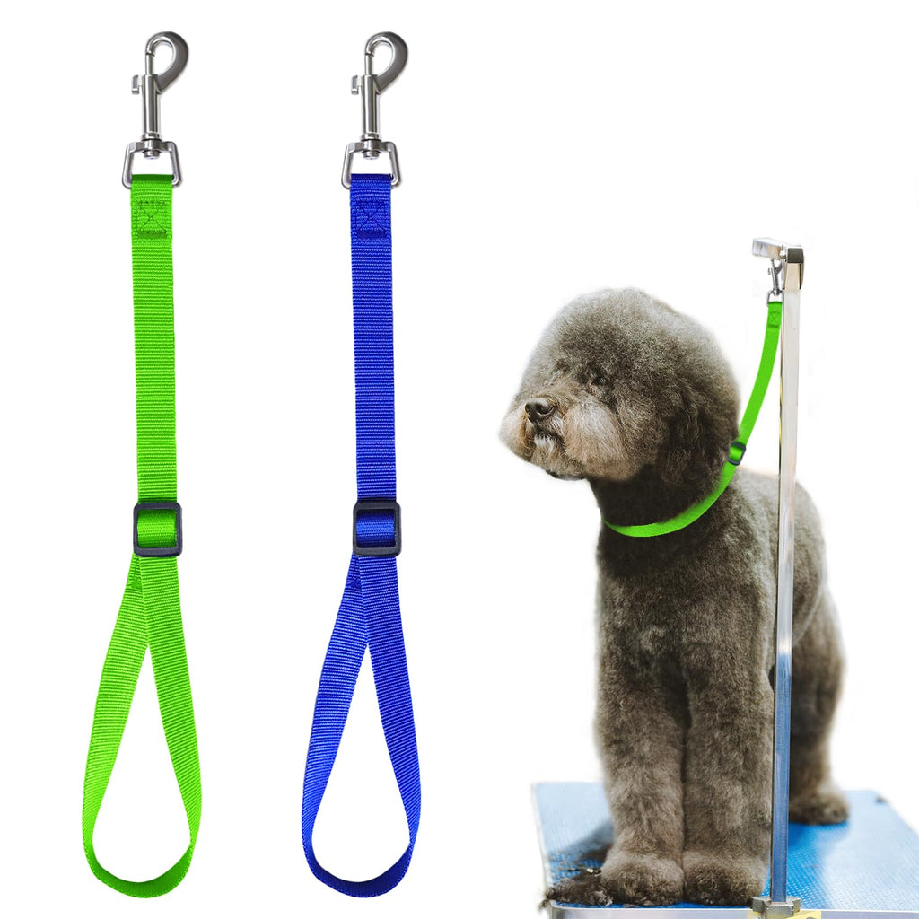 Two dog leashes, one green and one blue, with a dog wearing a green leash on a white background.