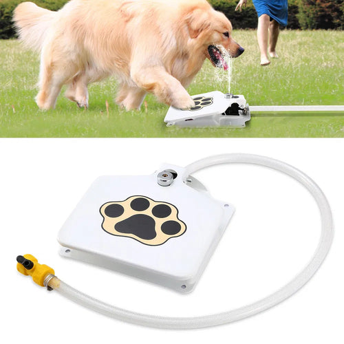 Dog drinking water from a portable water fountain on grass with a close-up of the device below.
