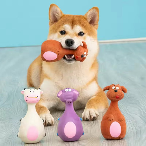 Dog playing with a chew toy on a light blue background