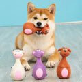 Dog playing with a chew toy on a light blue background