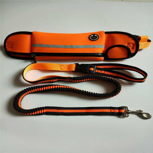 Dog Walking Waist Bag with Leash – Waterproof & Reflective
