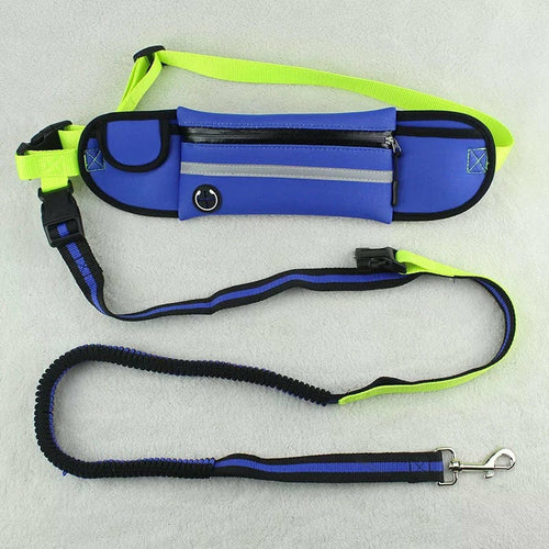 Dog Walking Waist Bag with Leash – Waterproof & Reflective
