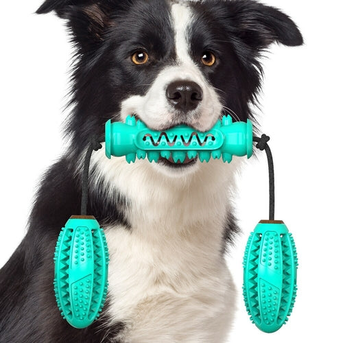 Dog Toothbrush Chew Toy – Rubber Bone for Teeth Cleaning & Molar Care