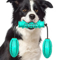 Dog Toothbrush Chew Toy – Rubber Bone for Teeth Cleaning & Molar Care