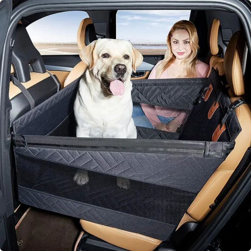 Dog in a car with a pet barrier, woman sitting next to it.