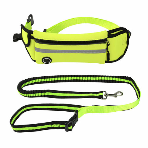 Dog Walking Waist Bag with Leash – Waterproof & Reflective