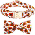 Dog collar and bow tie set with floral pattern on a white background