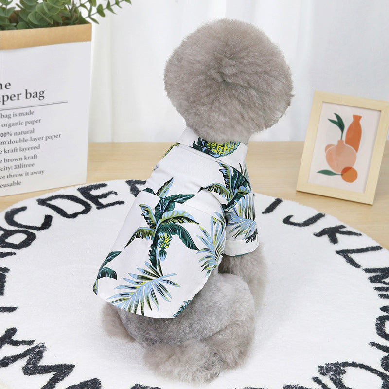 small dog wearng a white shirt with blue leaf pattern