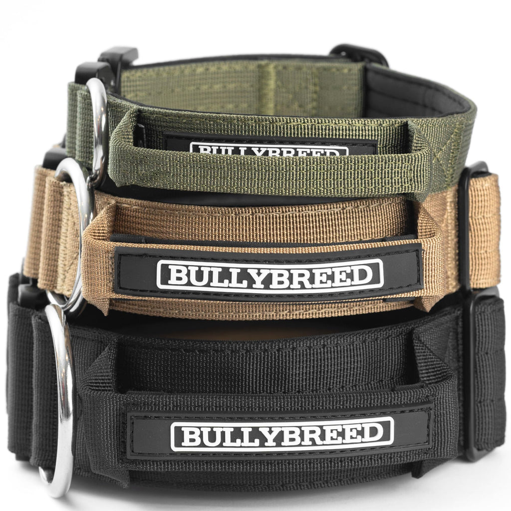 Stack of Bullybreed dog collars in green, brown, and black on a white background