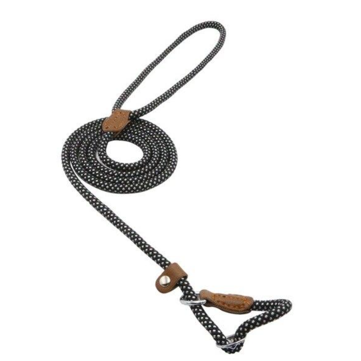 Nylon & PU Leather Dog Collar & Leash Set
