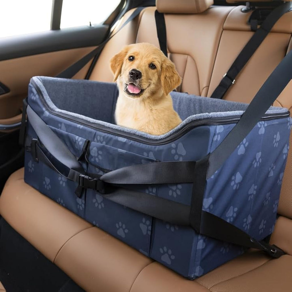 Dog sitting in a blue pet carrier on a car seat